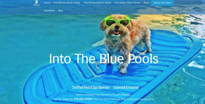 An image of the Into The Blue Pools homepage