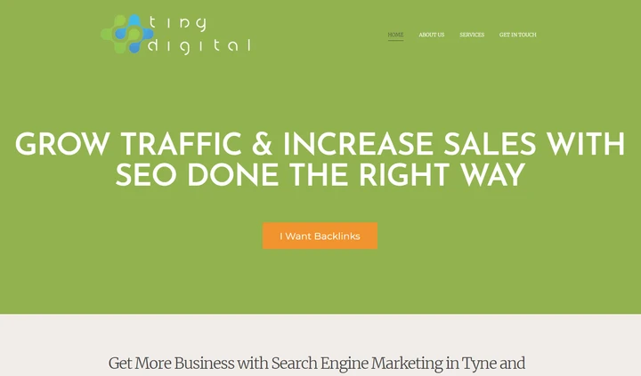 An image of the Tiny Digital homepage